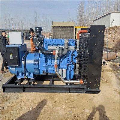 蠡縣30-2000kW發(fā)電機(jī)出租與發(fā)電機(jī)機(jī)組生產(chǎn)、維修服務(wù)全方位解析