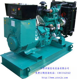河北24kW東風(fēng)康明斯發(fā)電機(jī)機(jī)組 專業(yè)維修、生產(chǎn)組裝與配件服務(wù)指南