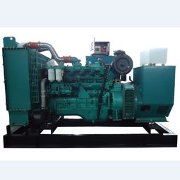 松崗250kw大宇發(fā)電機(jī)生產(chǎn)廠家 專注機(jī)組組裝、配件銷售與維修服務(wù)